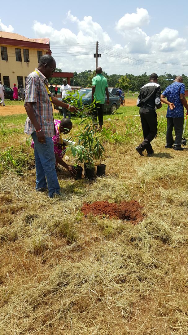 Launching the Tree-Planting Initiative