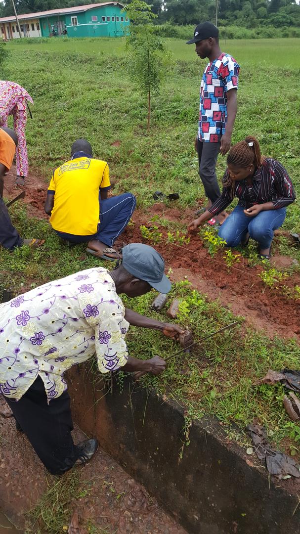 Tree Planting Exercise