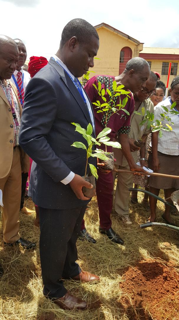 Tree Planting Exercise