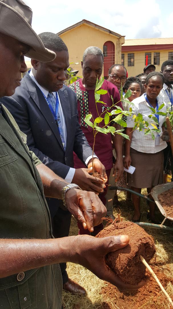 Tree Planting Exercise