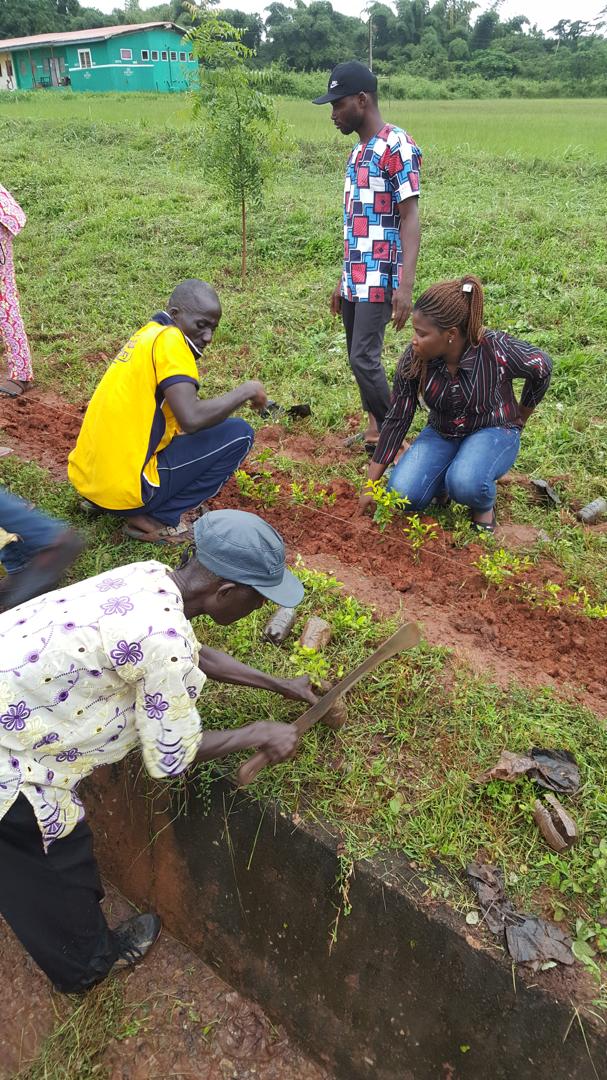Tree Planting Exercise