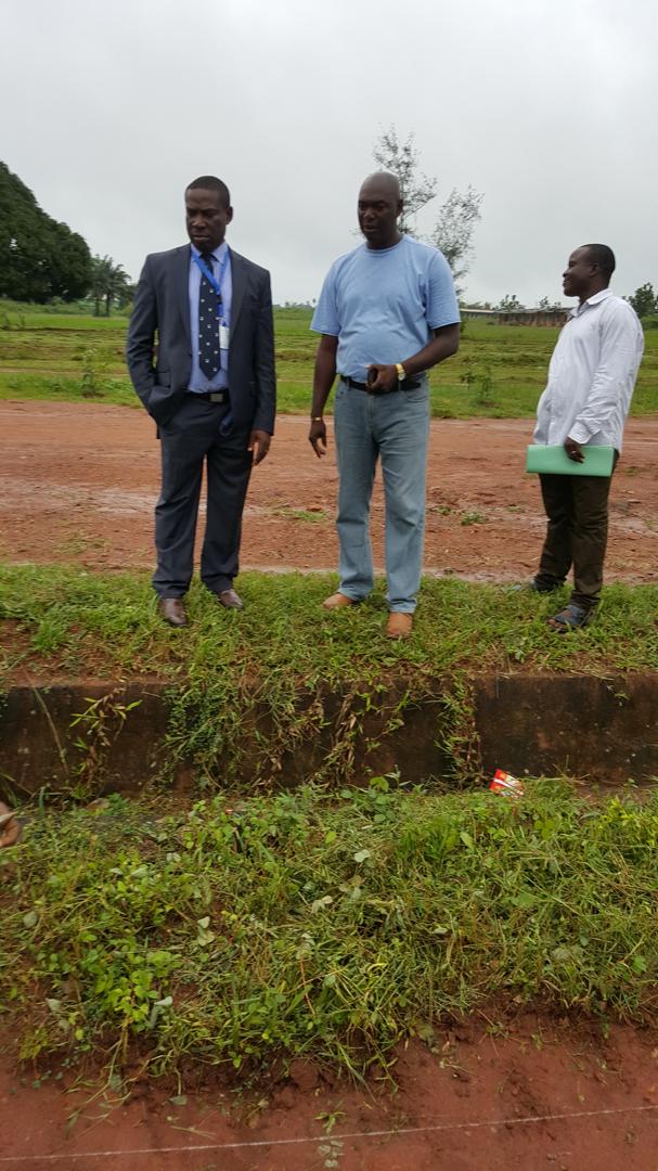 Tree Planting Exercise