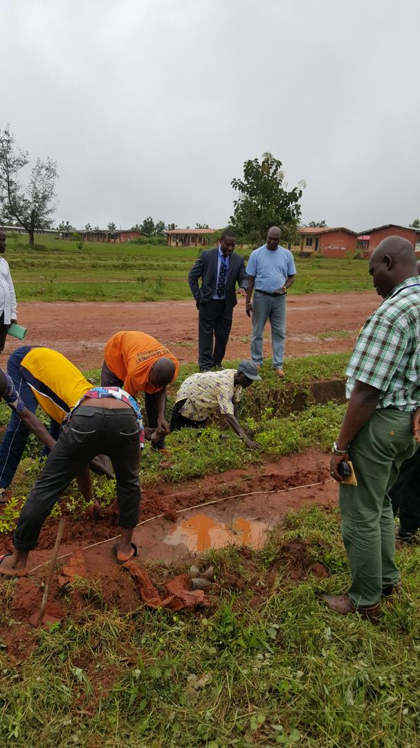 Tree Planting Exercise