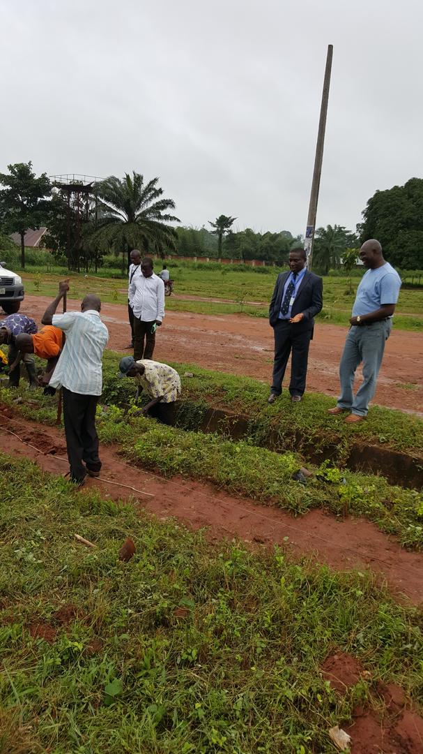 Tree Planting Exercise