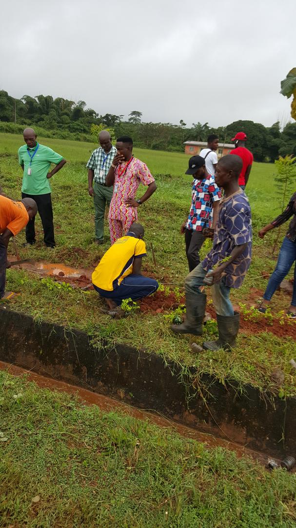 Tree Planting Exercise