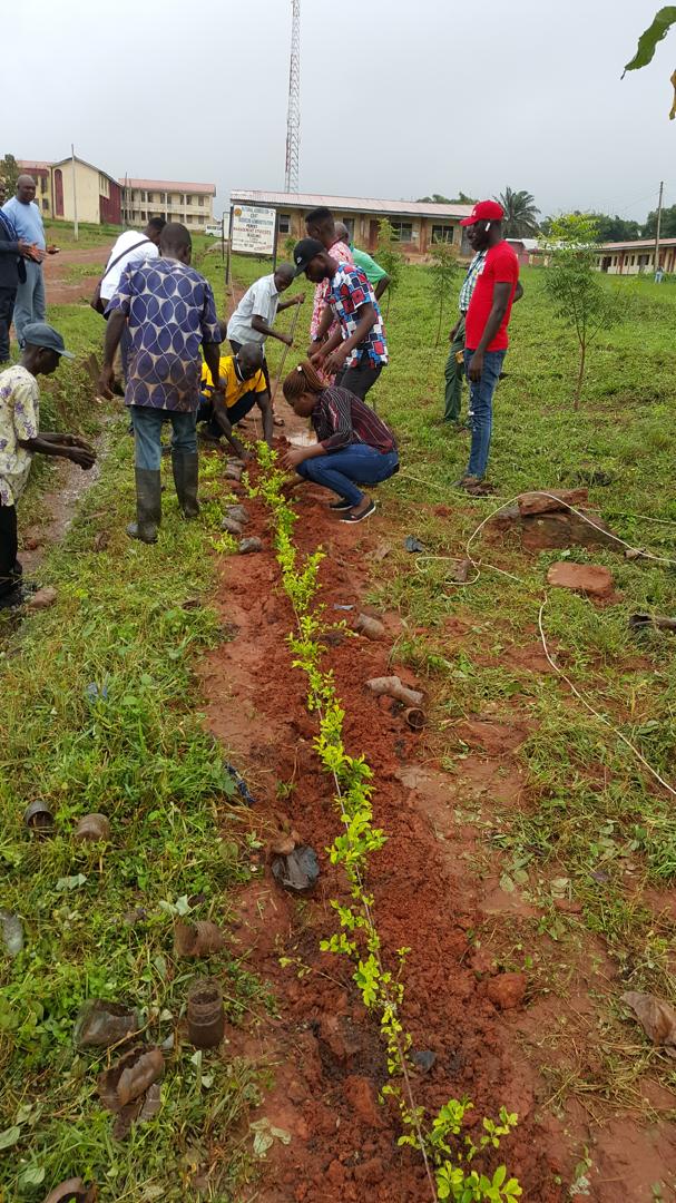 Tree Planting Exercise