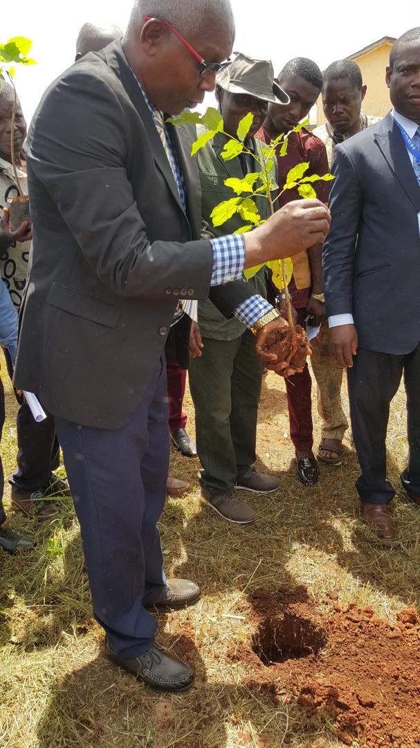 Tree Planting Exercise