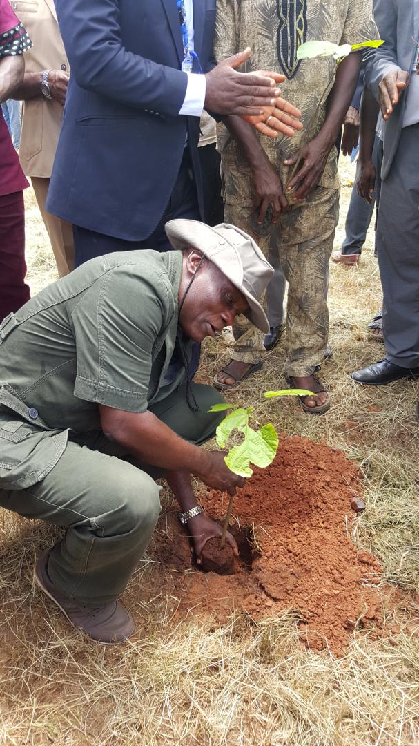 Tree Planting Exercise