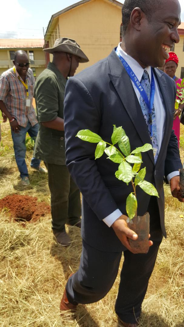Tree Planting Exercise