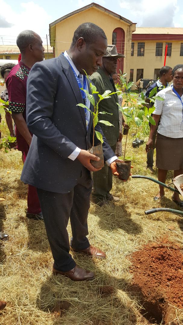 Tree Planting Exercise